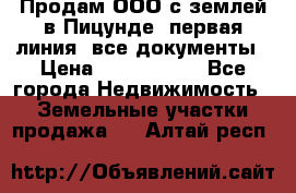 Продам ООО с землей в Пицунде, первая линия, все документы › Цена ­ 9 000 000 - Все города Недвижимость » Земельные участки продажа   . Алтай респ.